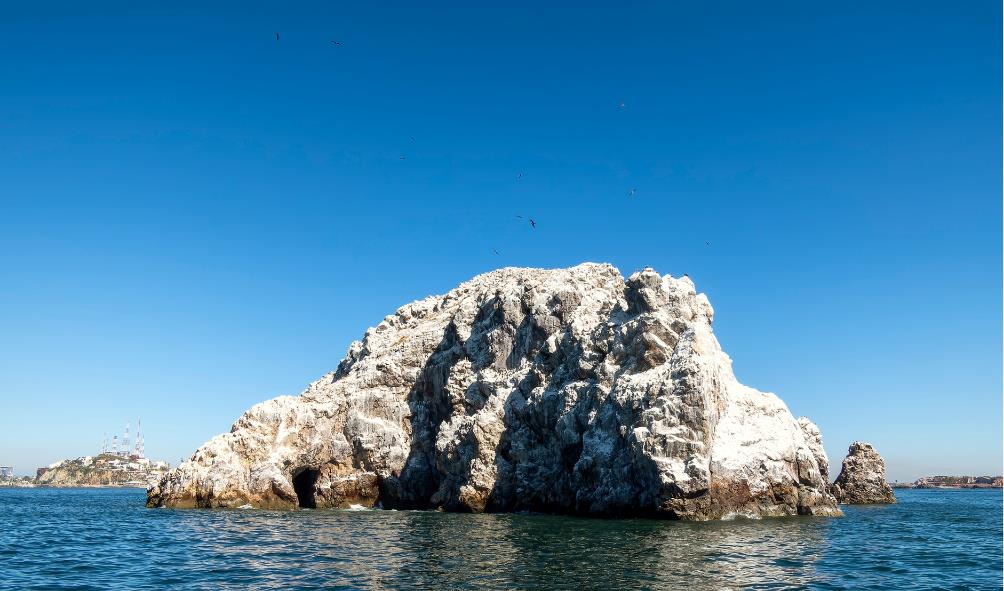 Sinaloa''s economic history 
