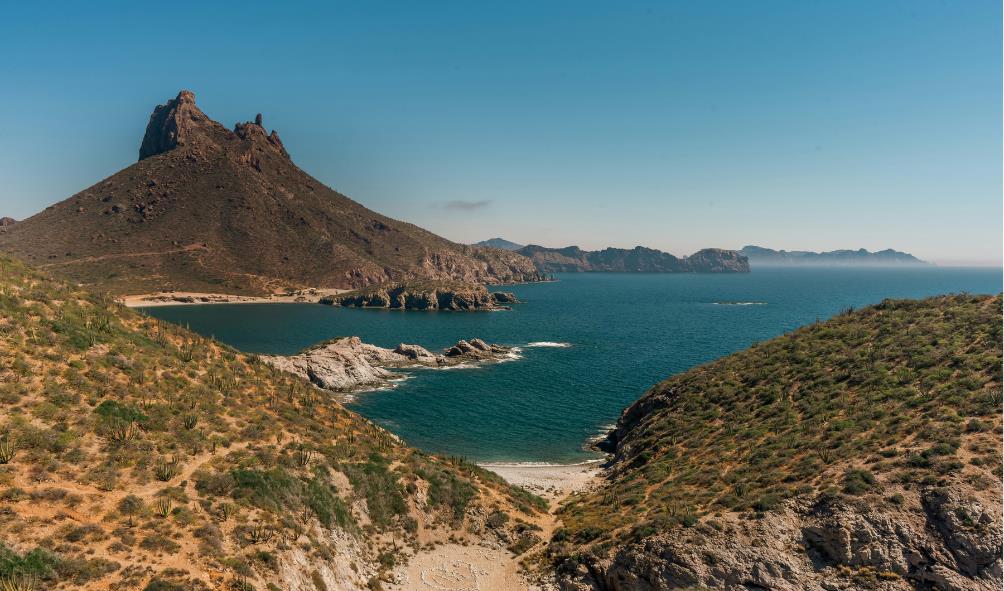 Sonora architecture history 