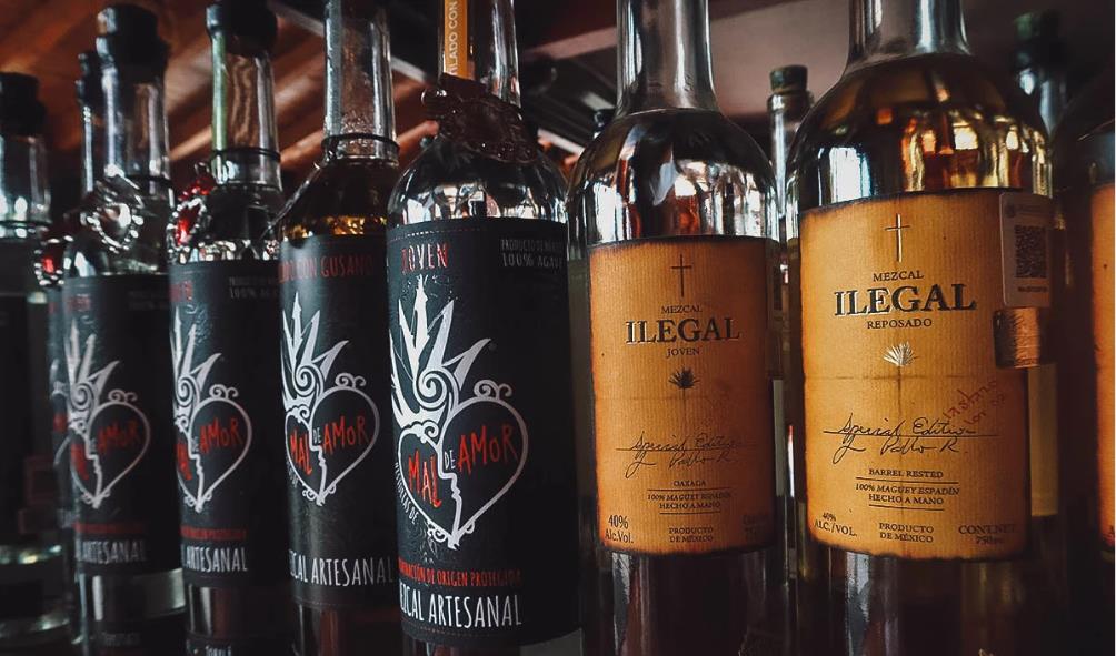 Tequila tasting road trip 