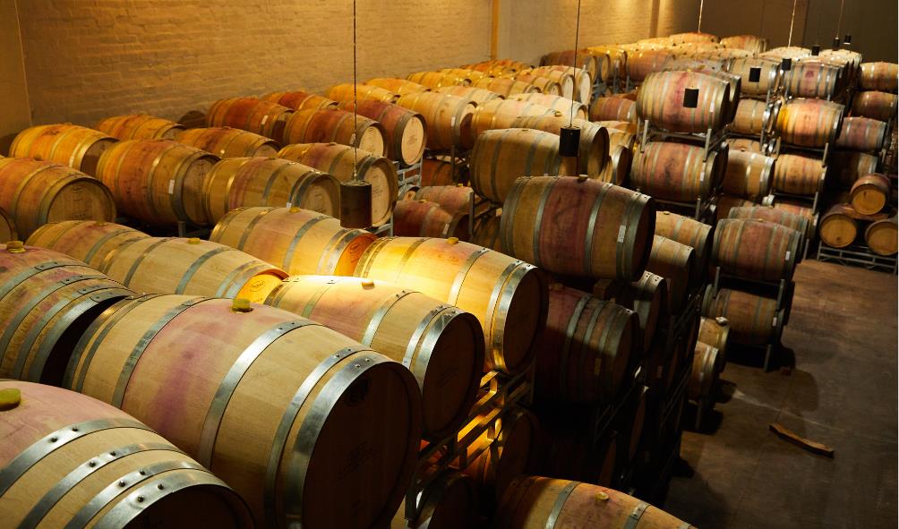 Tequila & Mezcal Trail destinations 