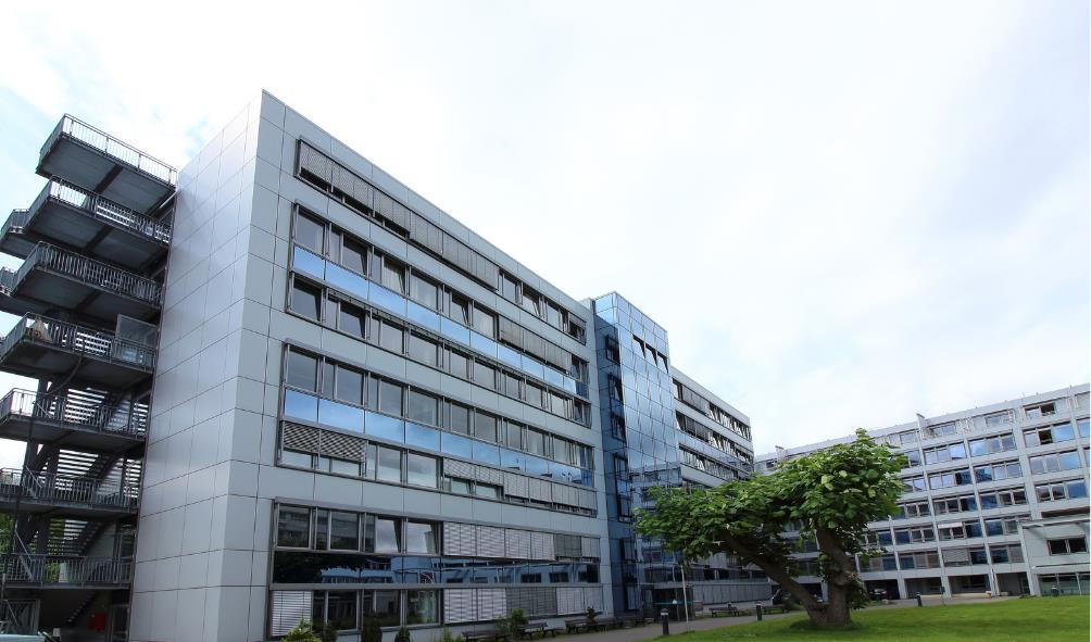 Affordable orthopedic surgery in Mexico 