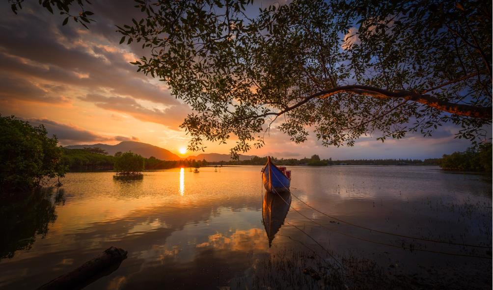 Retreats for weight loss in Mexico 