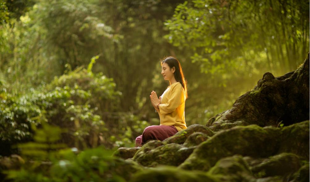 Holistic health Mexico