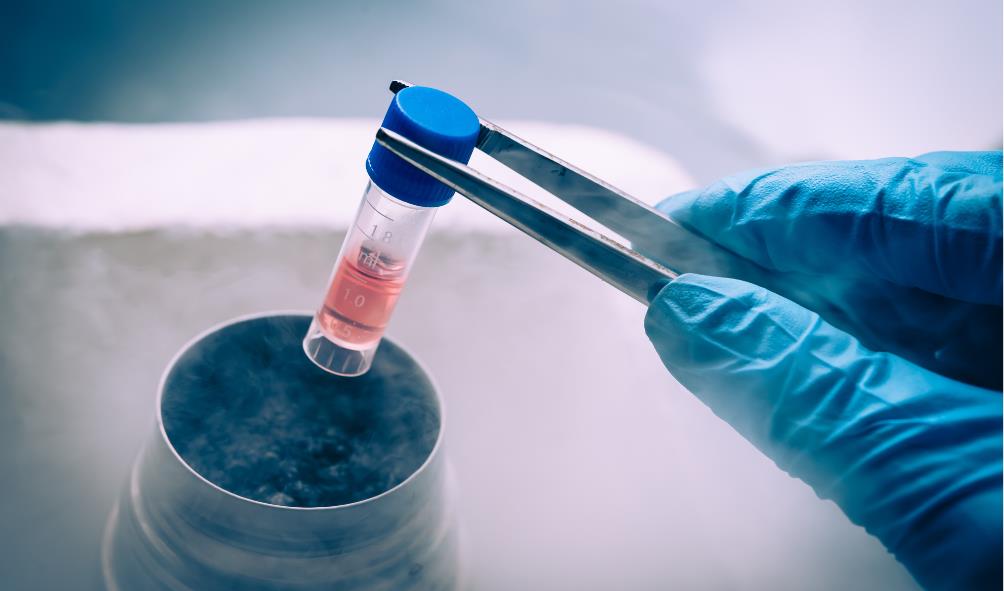 Stem cell therapy doctors Mexico 
