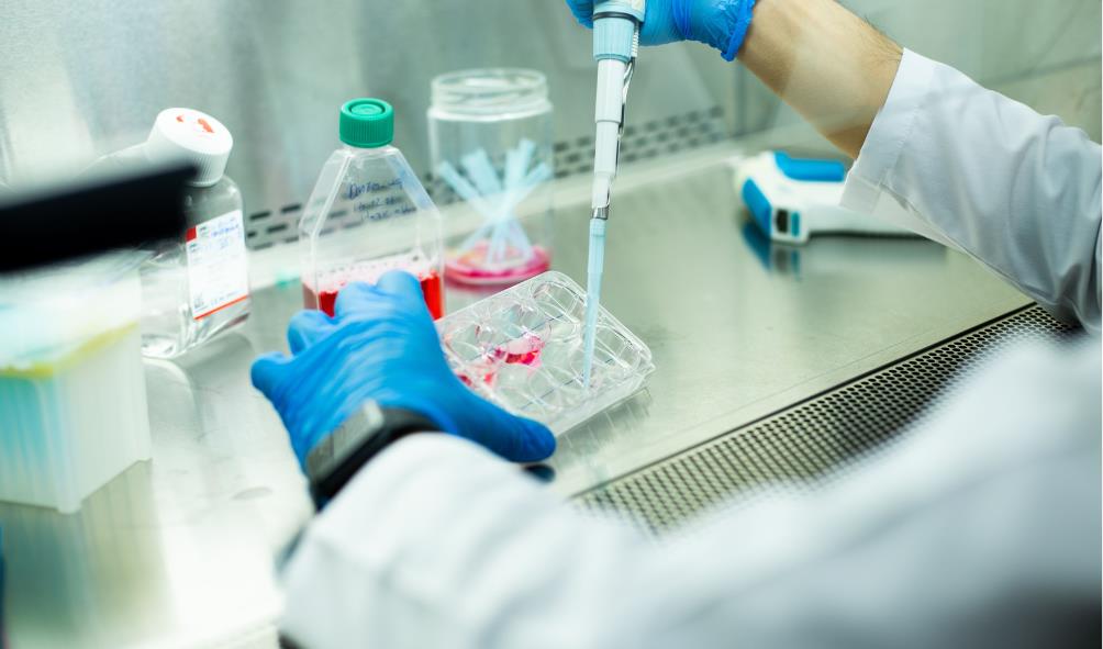 Stem cell therapy options Mexico 