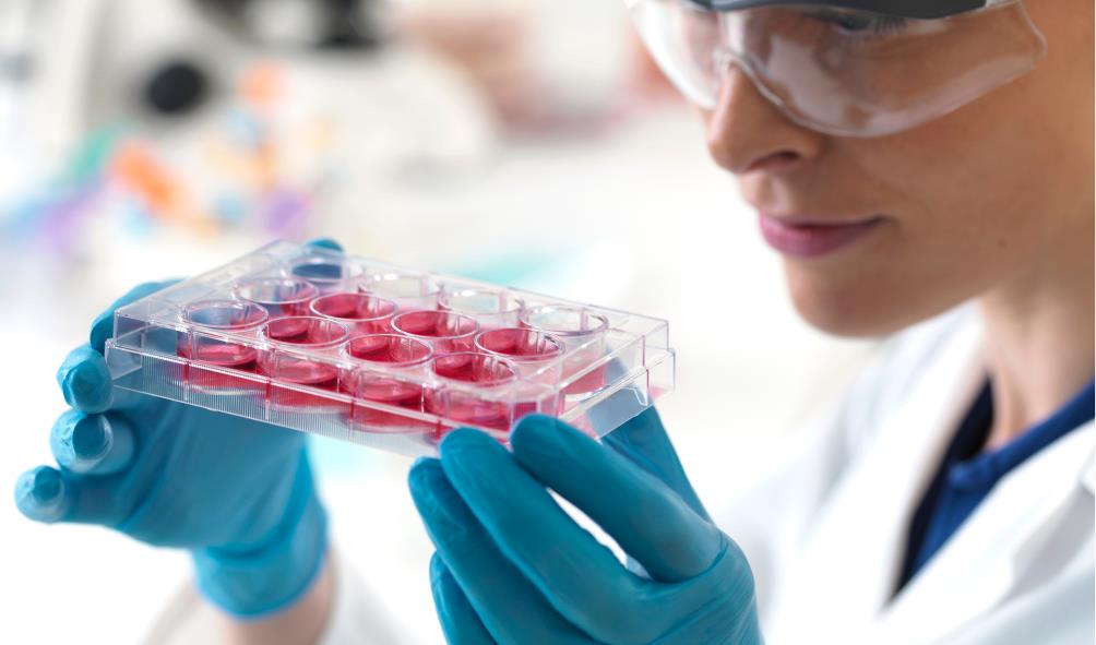 Stem cell therapy procedures Mexico 