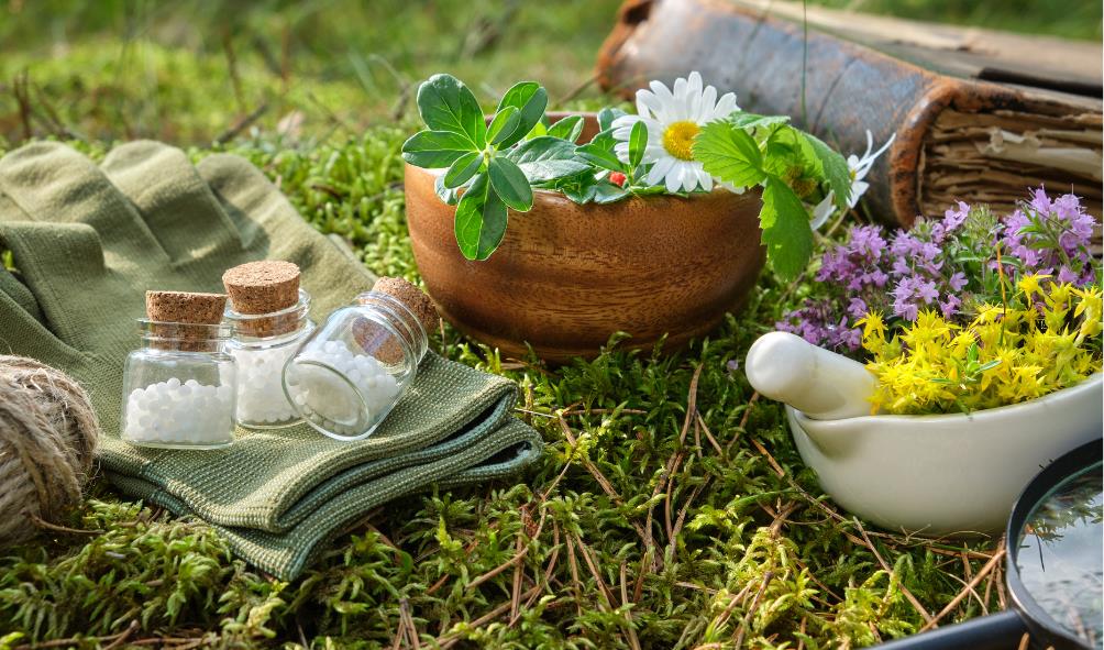 Cancer Treatment in Mexico: Alternative Clinics & Holistic Approaches