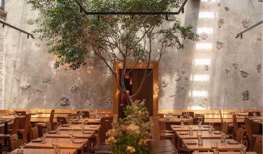 Mexico City Eating Out