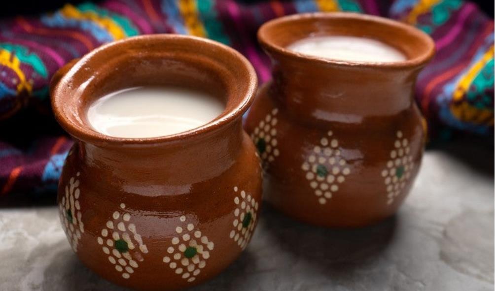 Pulque Health Properties