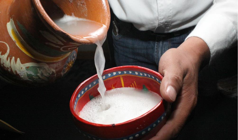 Best Places to Drink Pulque