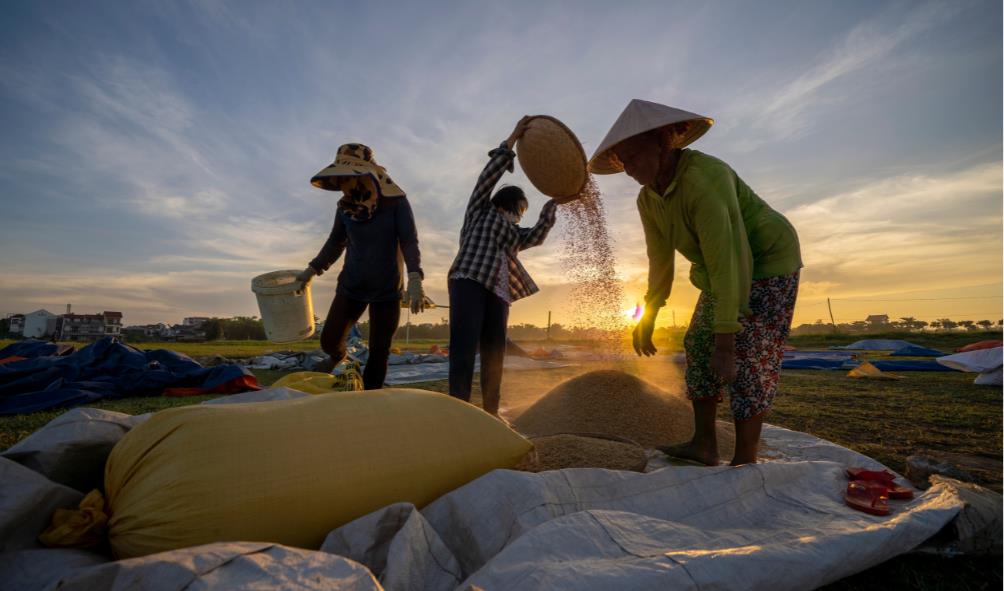 Mexico farm-fresh cuisine 