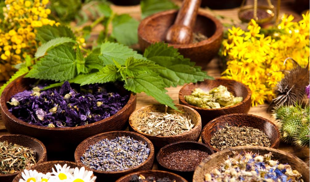 holistic healing Mexico 