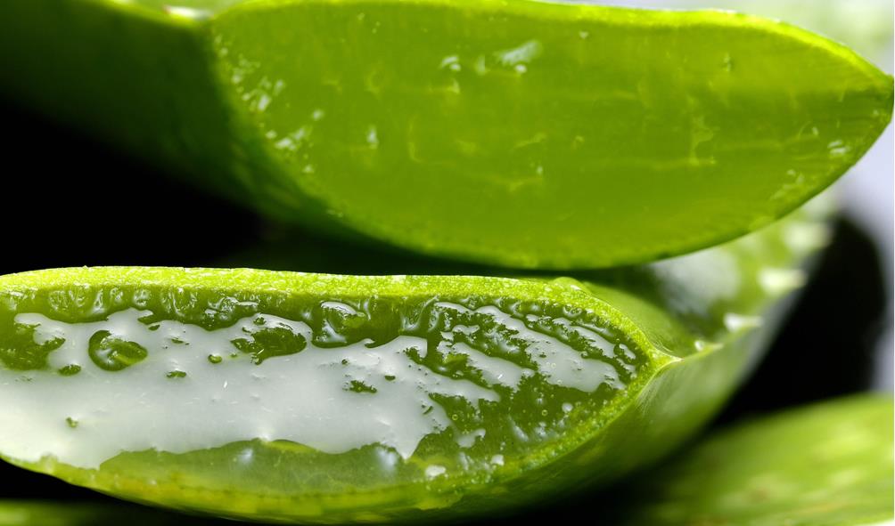 Herbal treatments Mexico 