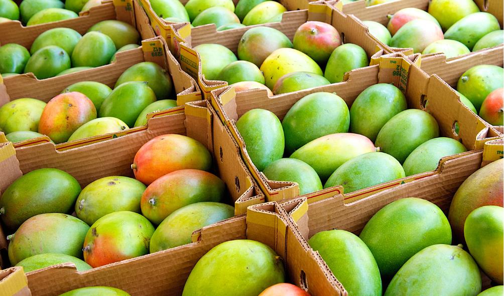 Non-processed foods Mexico 