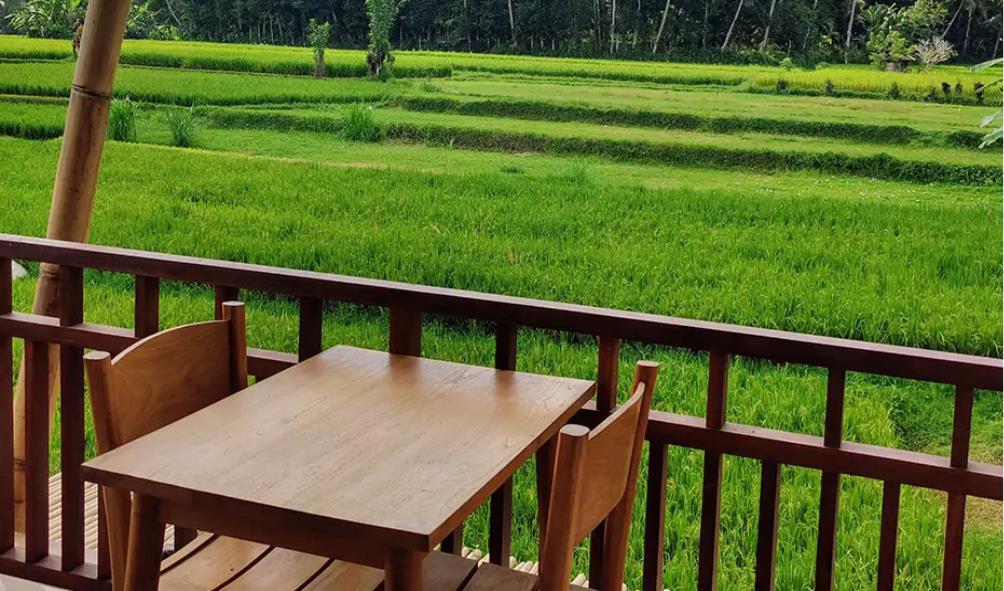 Cost of remote living Vietnam 