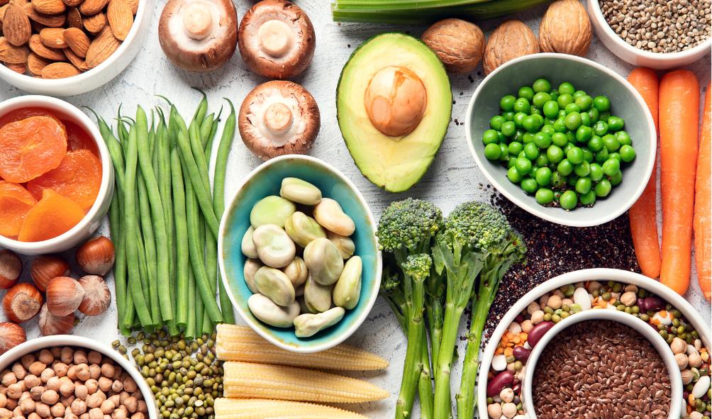 Carnivore Lifestyle vs Vegan Lifestyle 