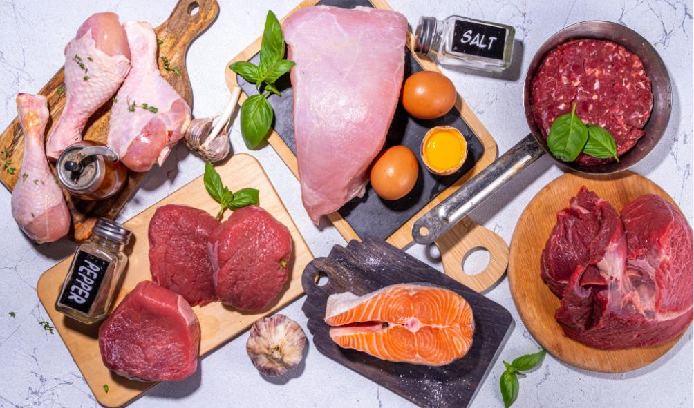 Digestive Health: Carnivore vs Vegan 