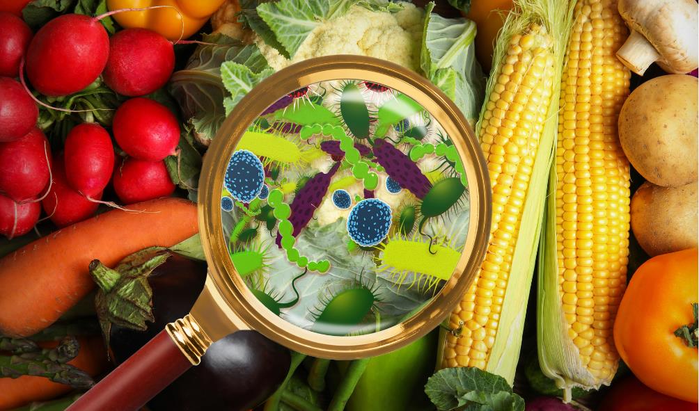 Meal Planning: Carnivore vs Vegan 