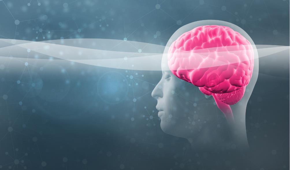 Mindtrainer Pro techniques
