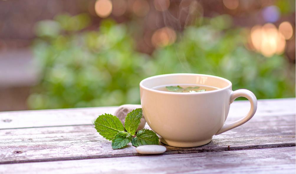 Fitness and wellness in Mexico 