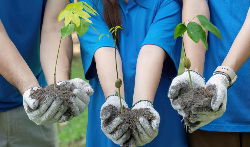 Healthy living Mexico 