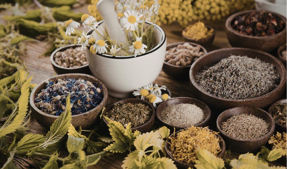 Healthy cuisine Mexico 