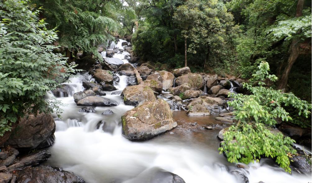 Yoga and meditation retreats 