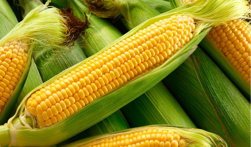 Locally sourced Mexican ingredients 