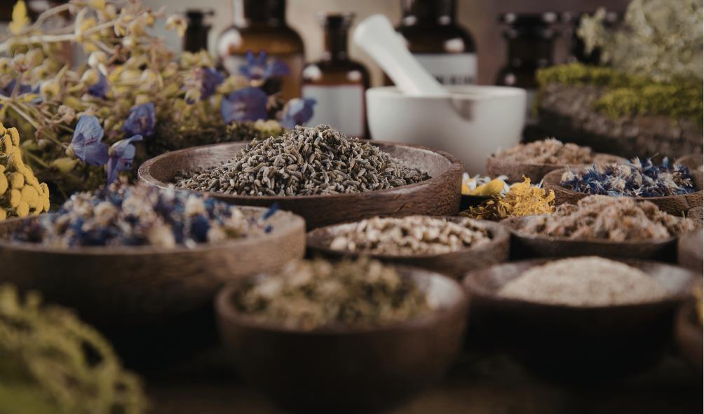 Mexico wellness practices 