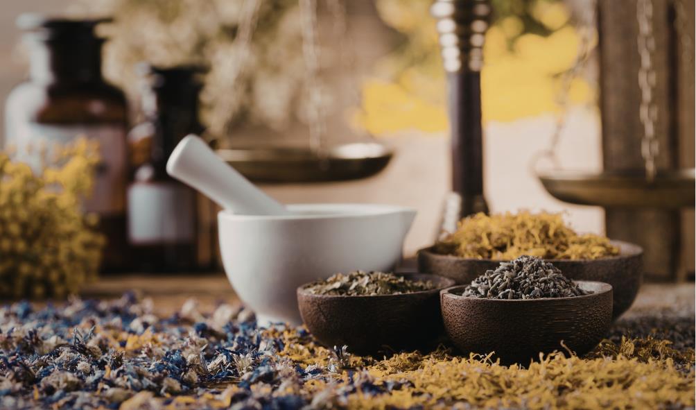 Nature''s Healing Power 