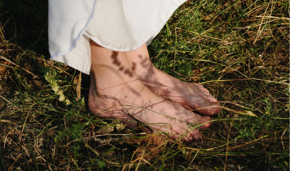 Wellness Through Nature 