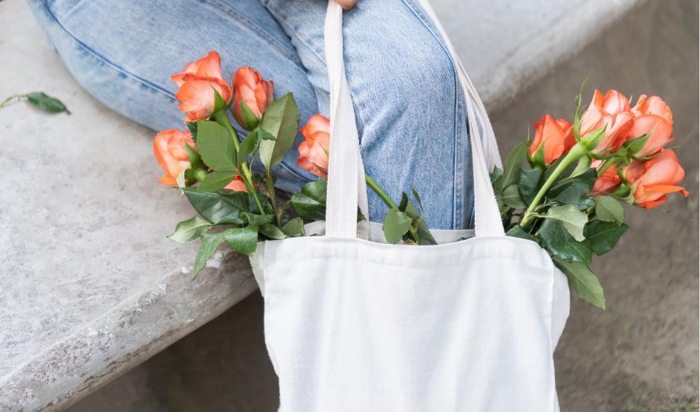 Living well in Mexico