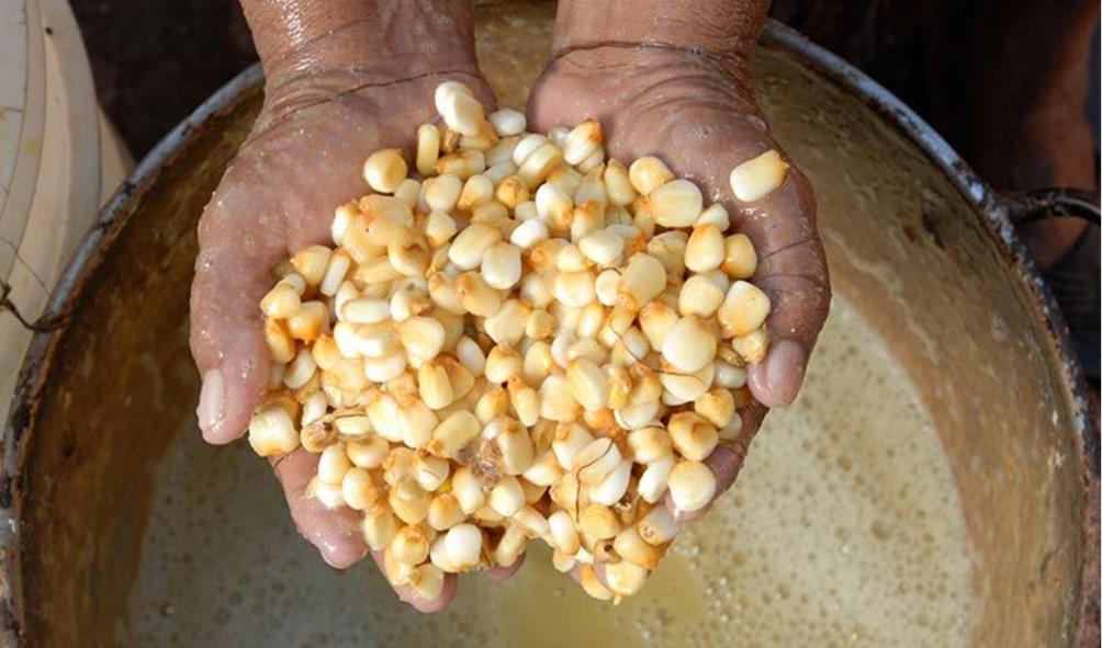 Traditional Mexican remedies for gut health 