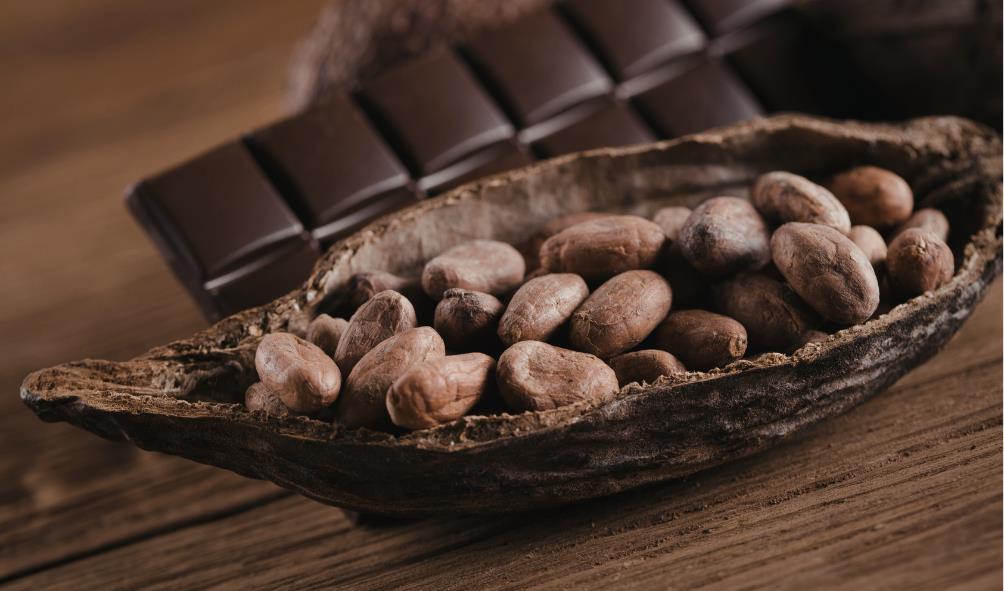 Indigenous Mexican superfoods 