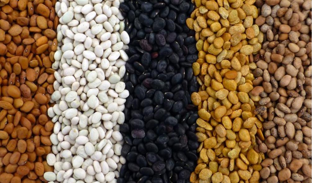 Mexican superfoods for immunity 