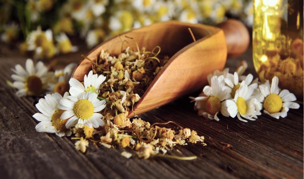 Healing through culture 