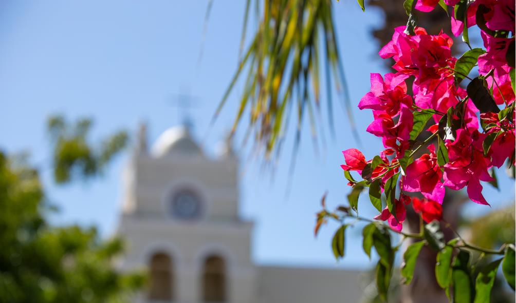 Cultural Experiences in Mexico 