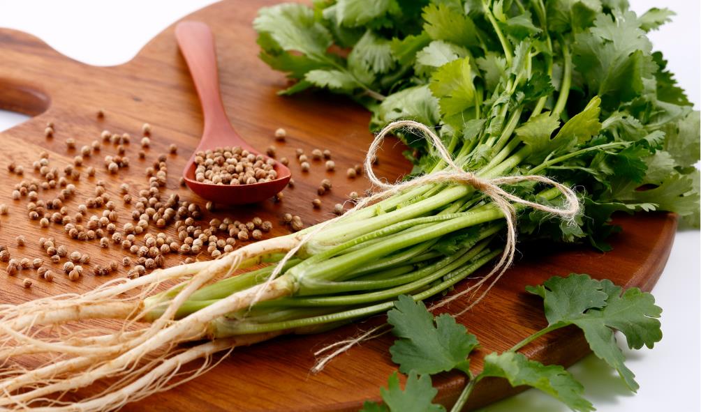 Culinary history of the Americas 