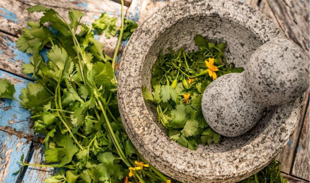 Wellness Tourism Mexico 