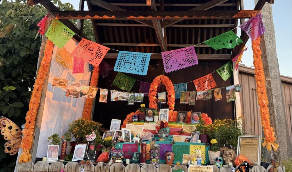 Plant-Based Wellness 