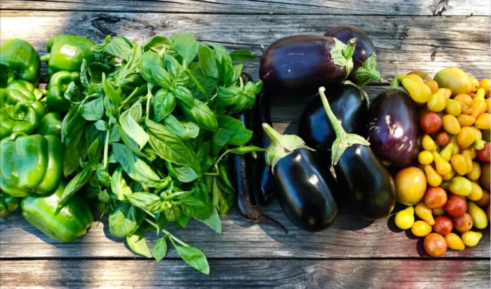 Savoring Mexican cuisine 