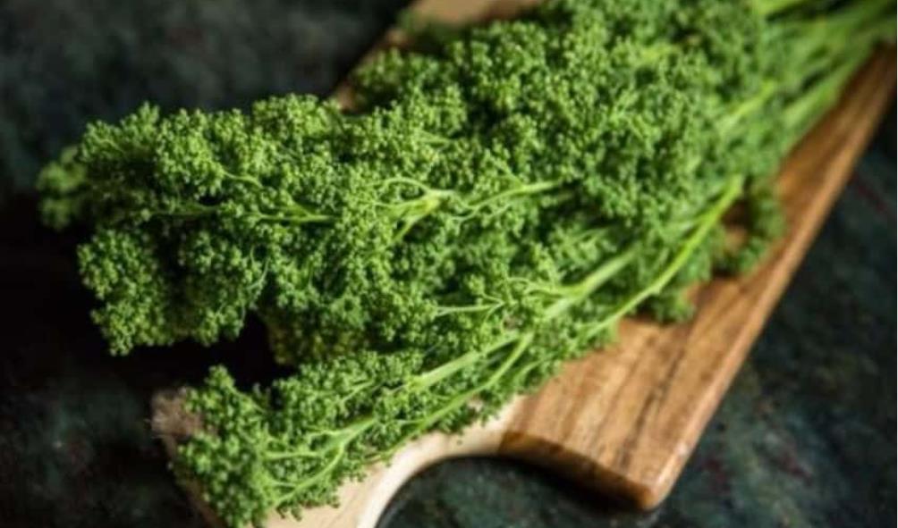 Revitalizing foods in Mexican culture 