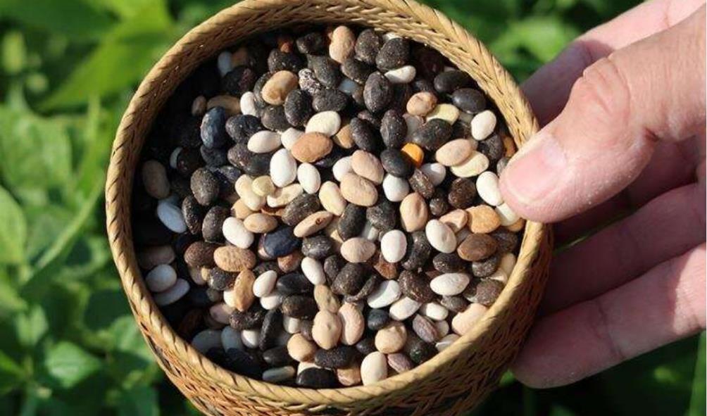 Nutritional value of traditional Mexican foods 