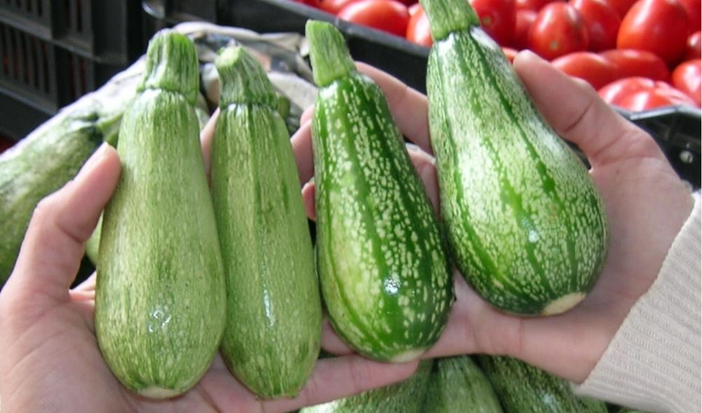 Mexican ingredients for vitality 