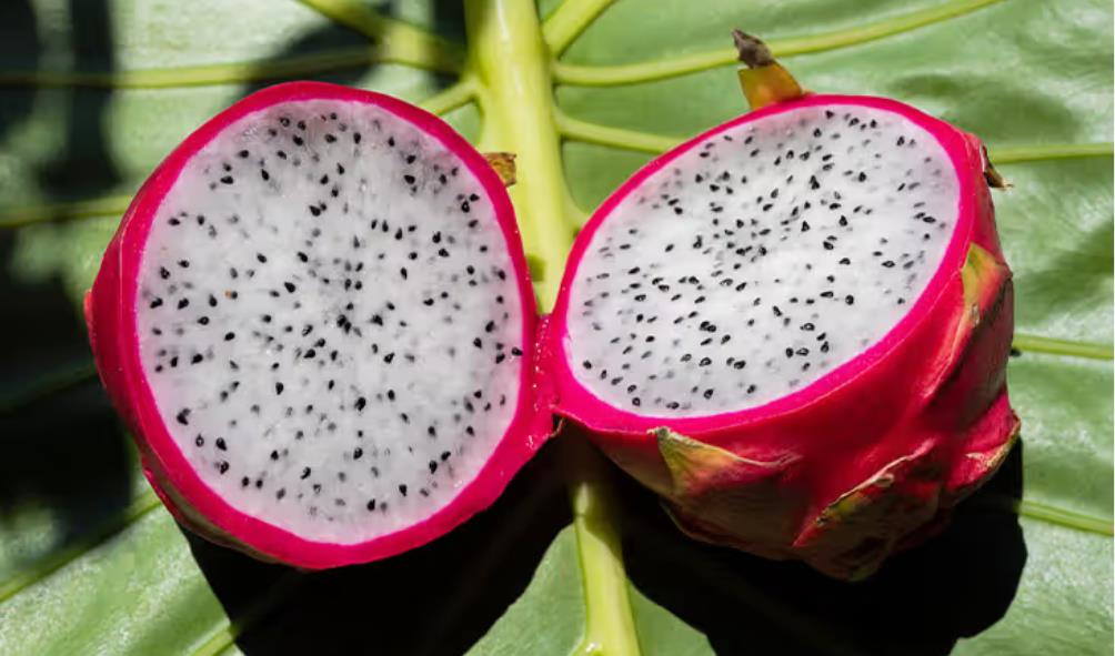 Mexican foods for enhanced wellness 