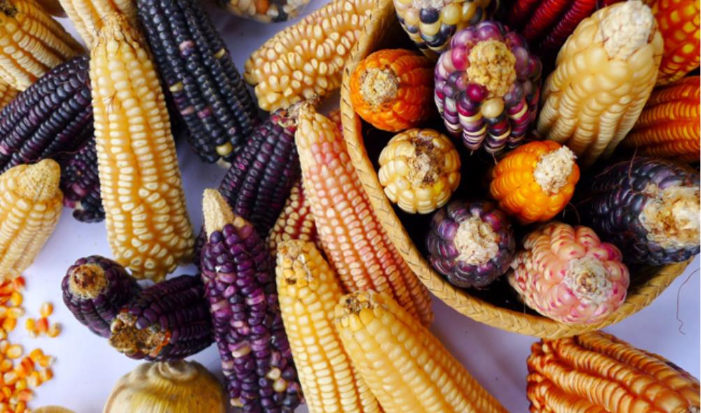 Mexican food culture 