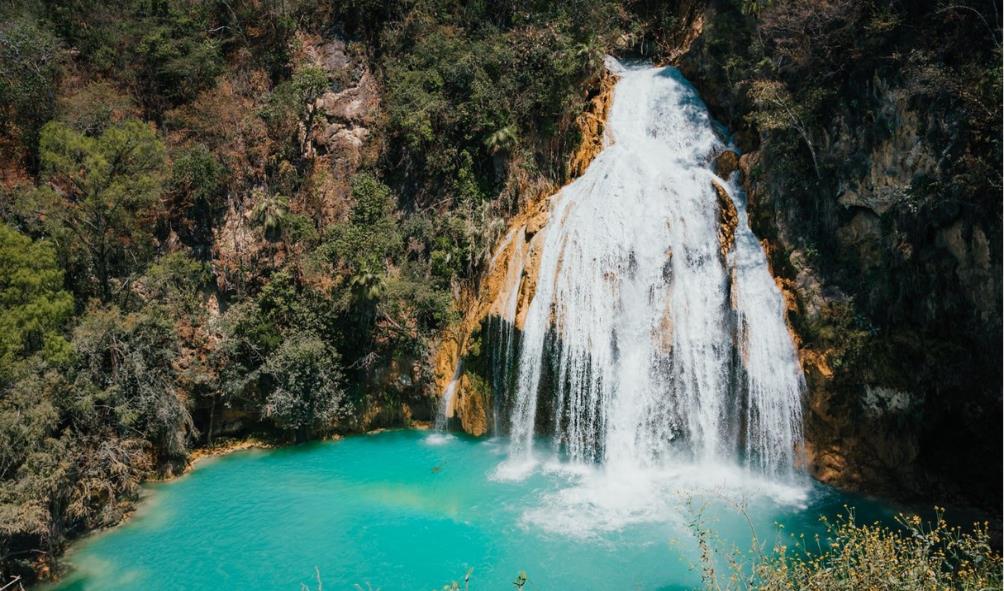 Mexico as a work destination 