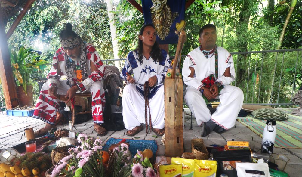 Mexico''s natural recovery 