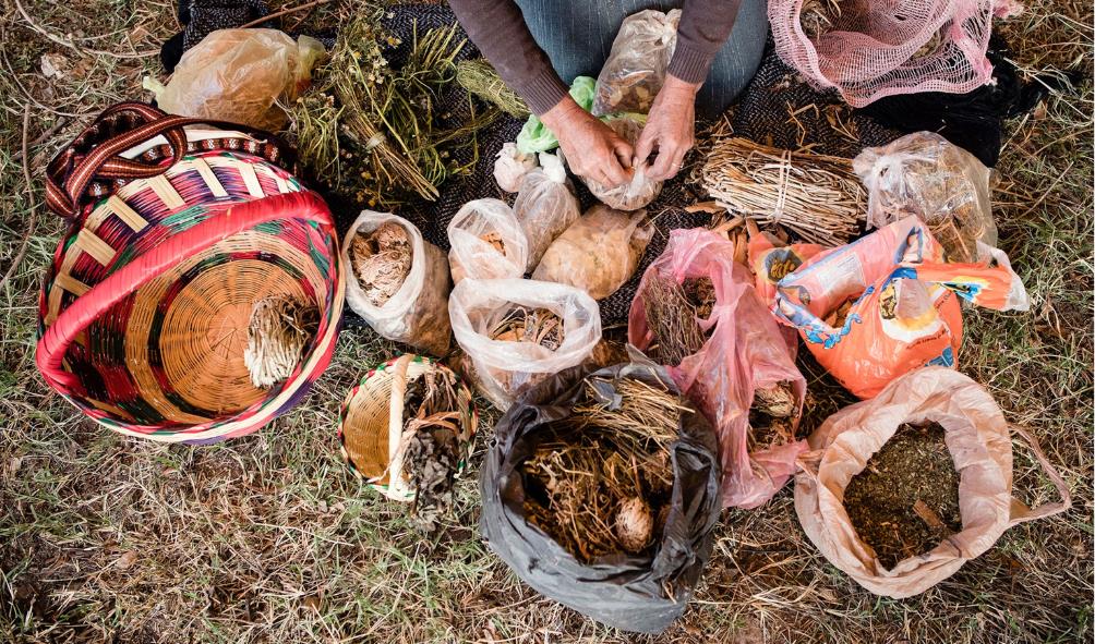 mindful healing journey 