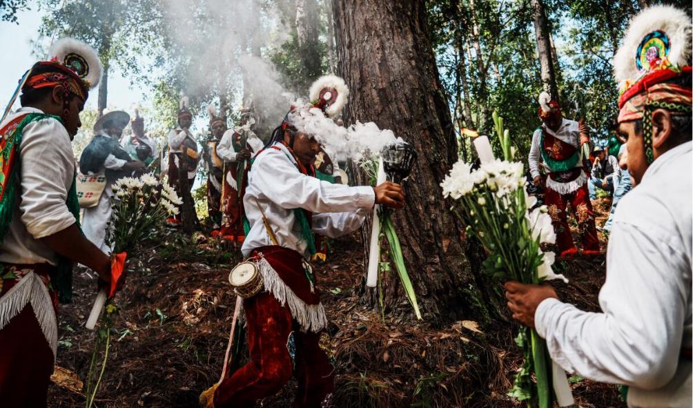 Ancient Mexican healing techniques 